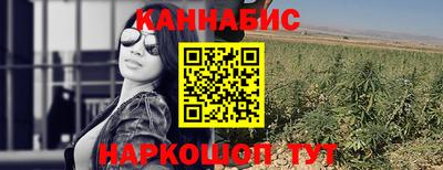 ALPHA PVP Камышлов