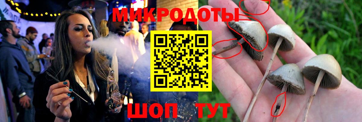 Красноуфимск  Галлюциногенные грибы мухоморы  Вход с VPN 